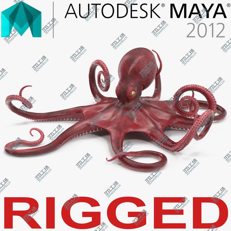 images/goods_img/20210313/Octopus Vulgaris Rigged for Maya 3D model/1.jpg